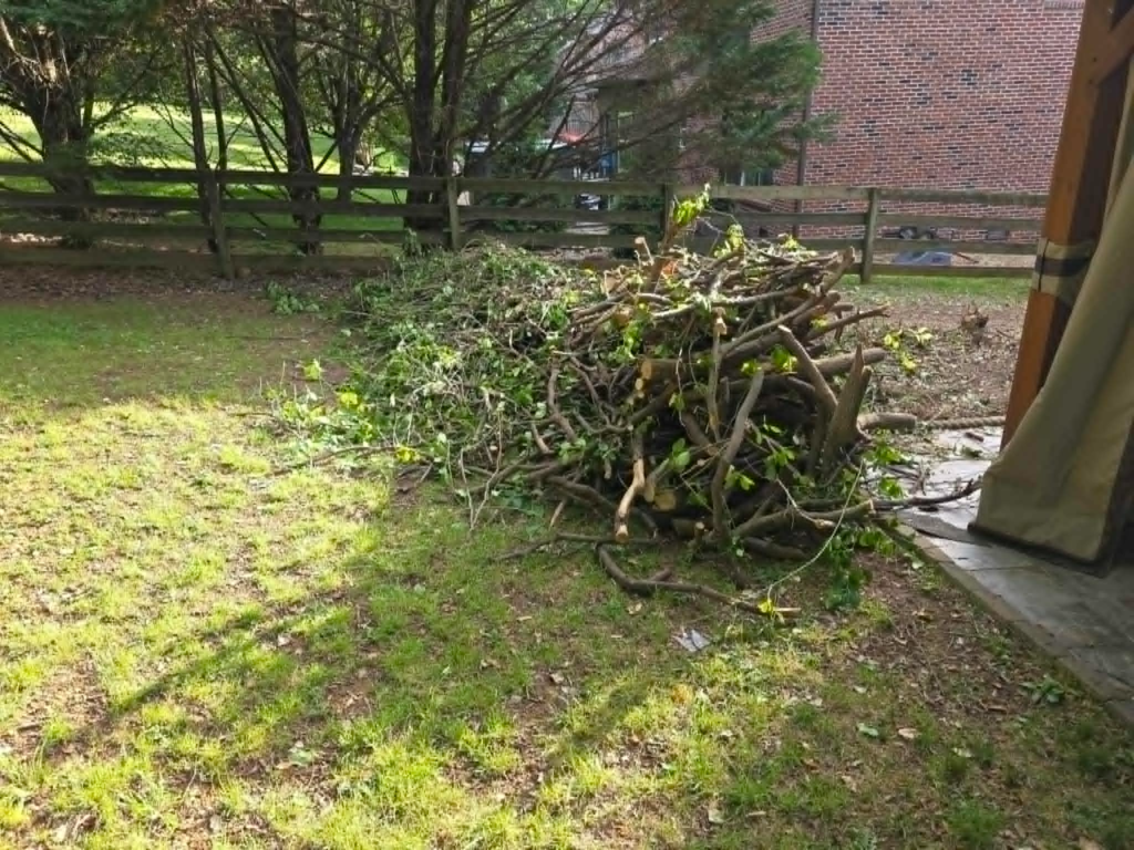 Large pile of freshly cut branches and brush staged in residential backyard during tree and shrub removal – White's Tree Service Knoxville TN