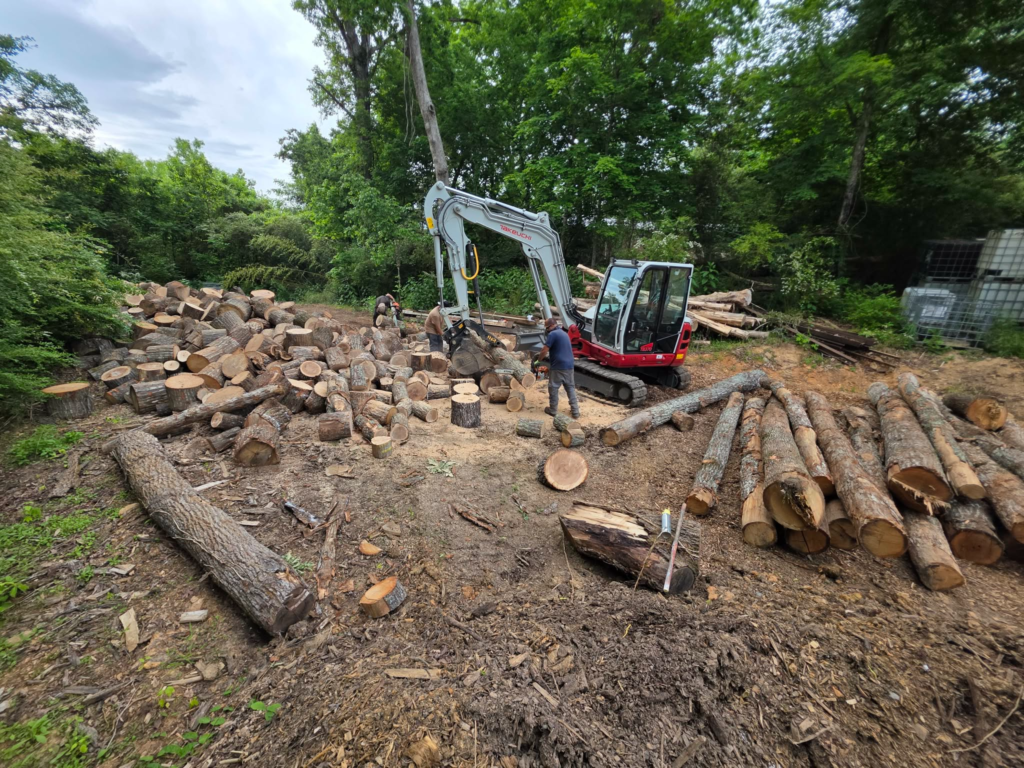 Takeuchi excavator and crew sorting and processing cut logs on commercial tree removal site – White's Tree Service Knoxville TN