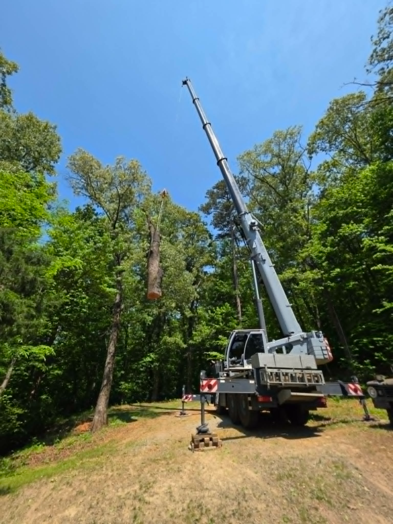 Large mobile crane hoisting a heavy log section in a wooded clearing during crane tree removal – White's Tree Service East Tennessee