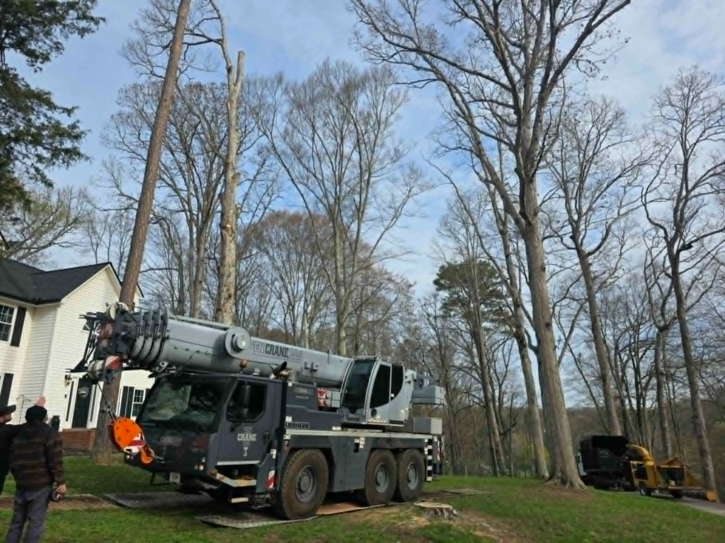 Large crane truck positioned on residential lawn next to two-story home for tall dead tree removal – White's Tree Service Knoxville TN