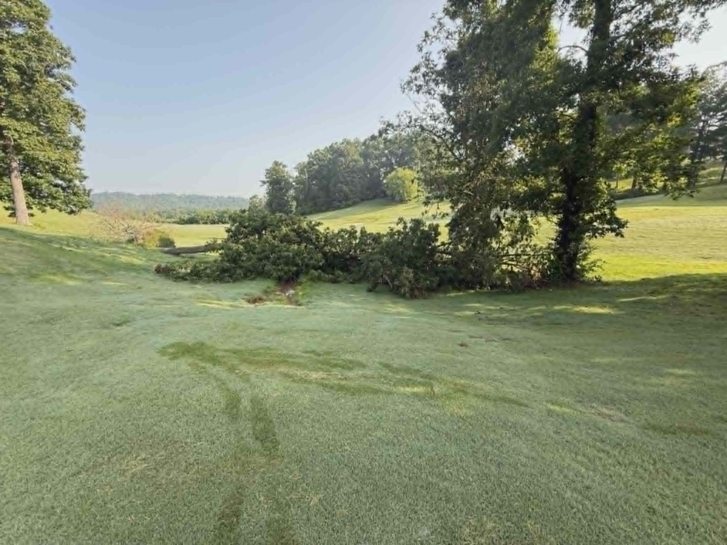 Large storm-fallen tree lying across rural farm field in East Tennessee before cleanup