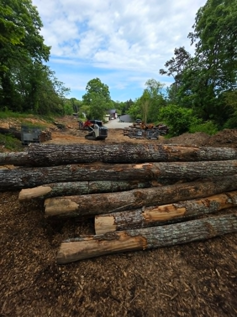 Long hardwood logs laid out on cleared land with skid steer and equipment in background – White's Tree Service Knoxville TN