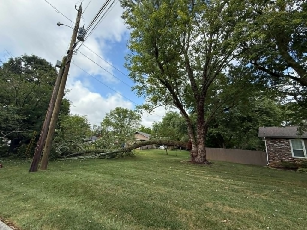 Large storm-snapped tree fallen across residential yard with broken trunk near power pole – emergency tree service Knoxville TN