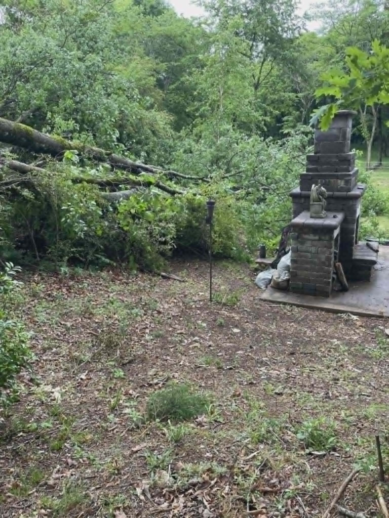 Large storm-fallen tree lying close to outdoor stone fireplace and patio area in residential backyard – emergency tree removal Knoxville TN