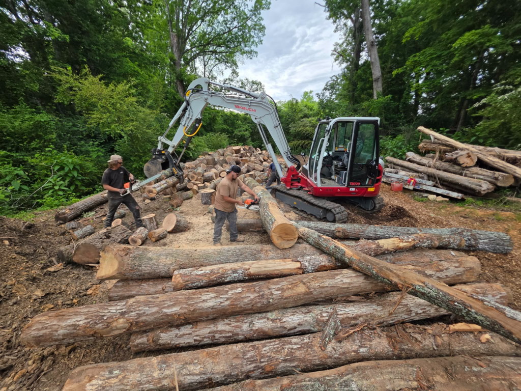 Two chainsaw operators and Takeuchi excavator processing large log pile during tree removal job – White's Tree Service Knoxville TN