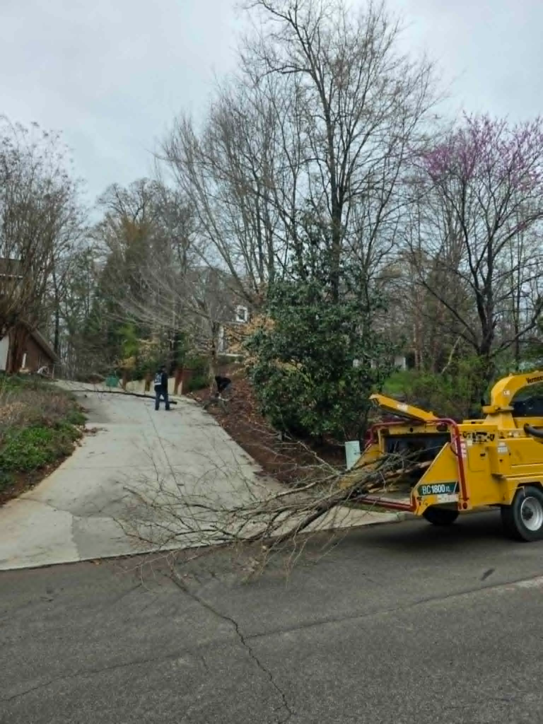 Vermeer BC1800XL wood chipper and crew members working on residential driveway during tree trimming job – White's Tree Service Knoxville TN