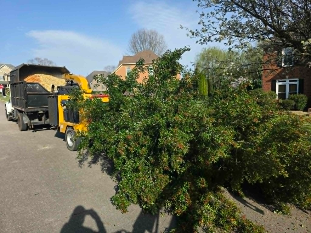 Yellow wood chipper processing large pile of cut green branches during residential tree trimming job – White's Tree Service Knoxville TN