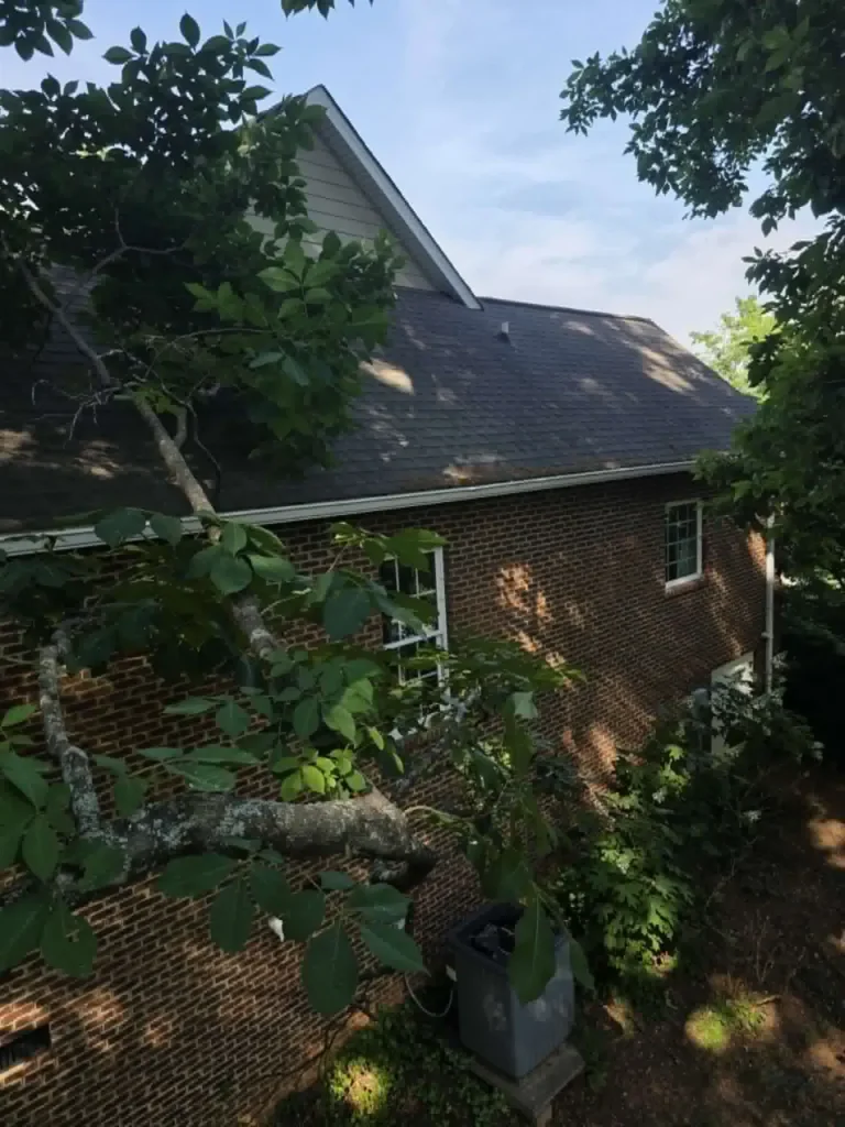 Large tree branch touching a brick home's roof being removed during pruning in Knoxville