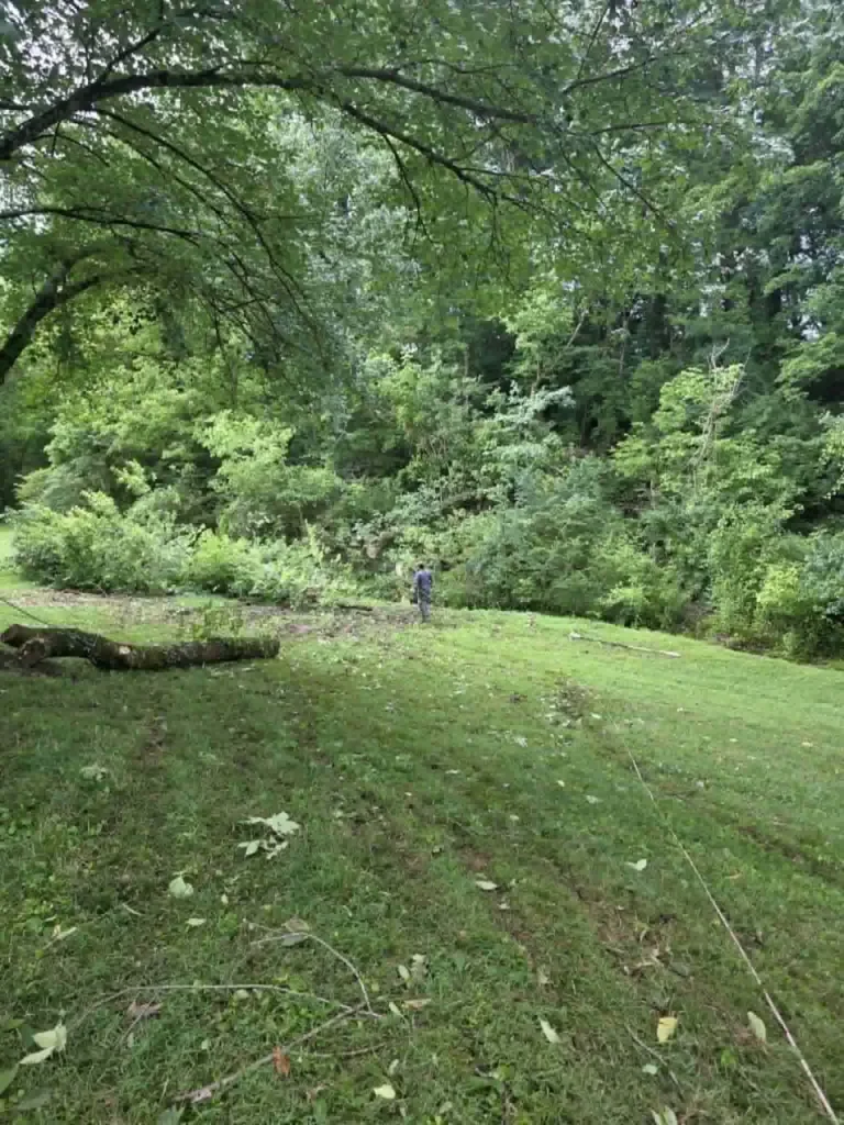 tree-pruning-aftermath-large-log-backyard-knoxville