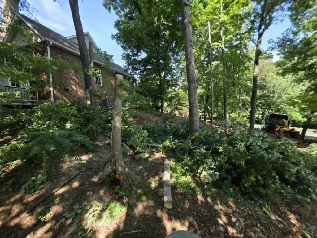 Tree pruning cleanup near a brick home in Knoxville with chipper truck visible