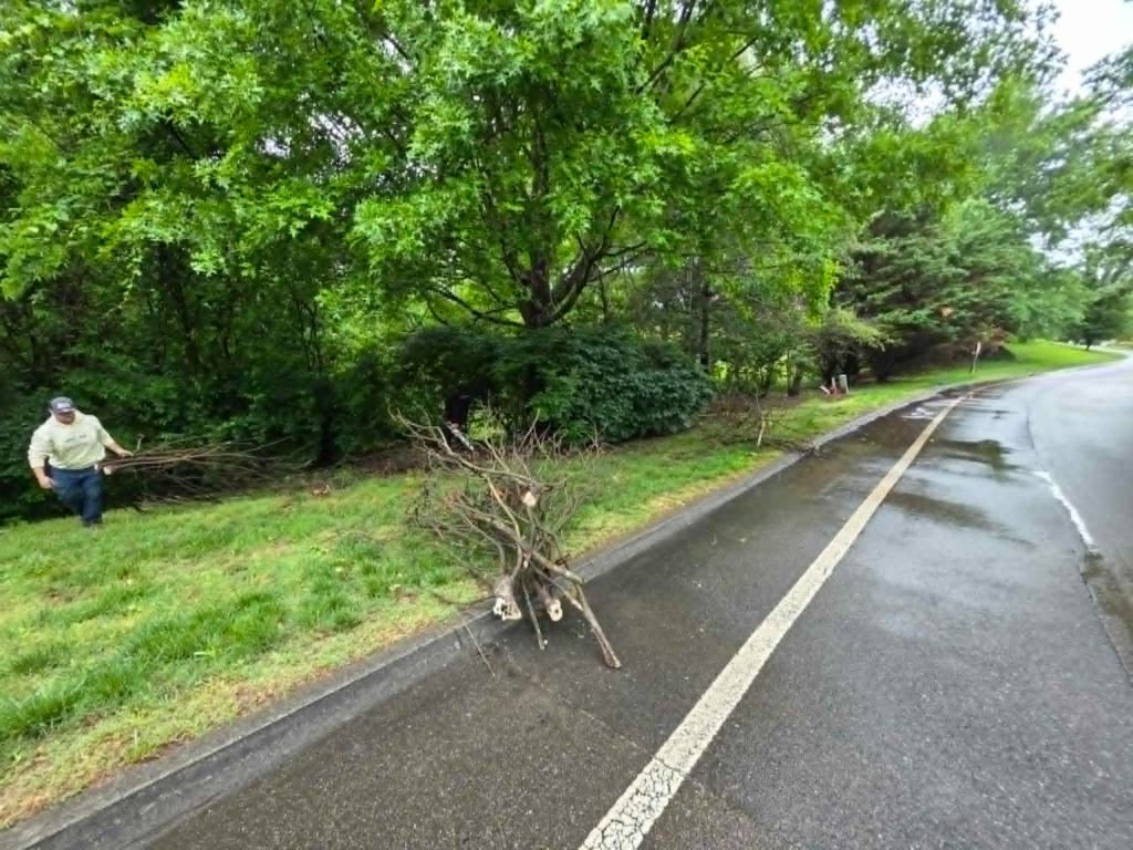 Dead limb and storm debris removal subdivision entrance West Knoxville TN Whites Tree Service