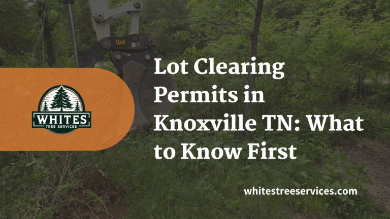 Lot Clearing Permits in Knoxville, TN: What You Must Know Before You Clear
