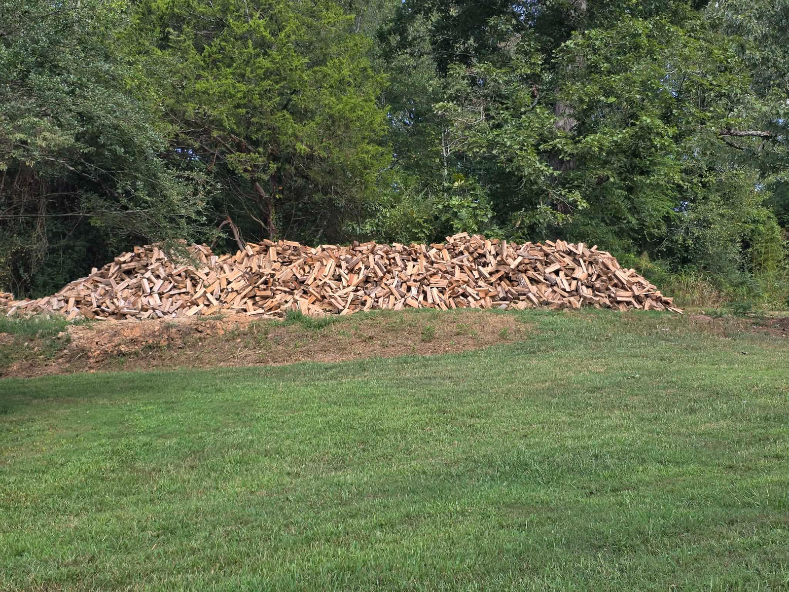 Large pile of freshly split firewood along a tree line in Knoxville, TN
