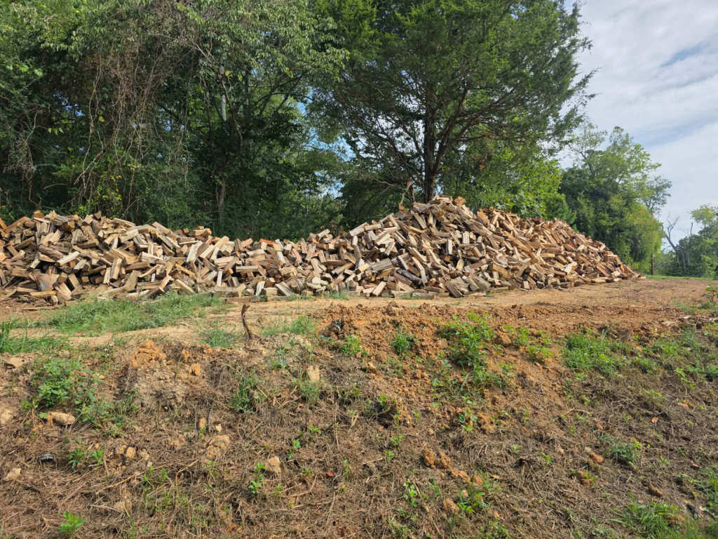 Rows of split firewood stacked along a wooded property line