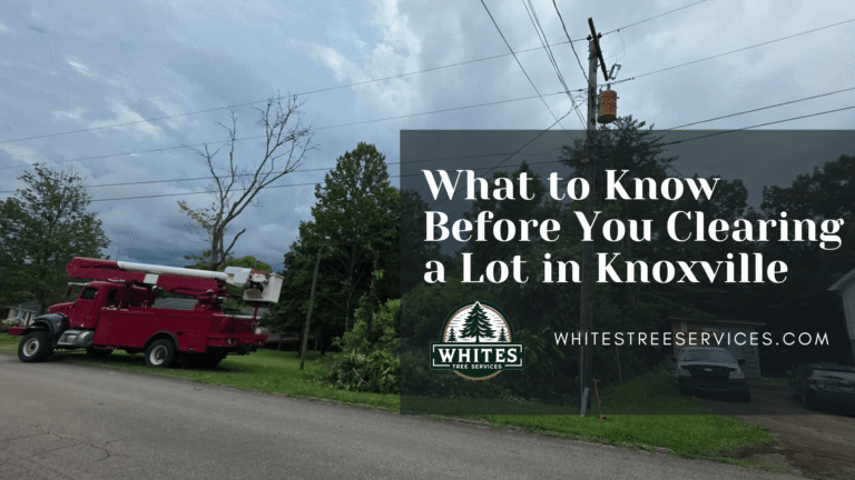 What to Know Before You Clearing a Lot in Knoxville (Homeowners & Builders Guide)